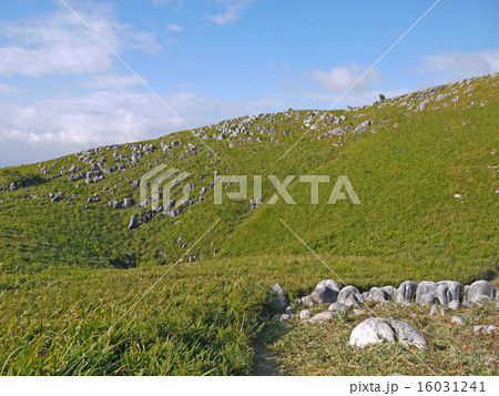 福岡県平尾台のドリーネ 16031241