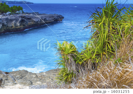 Tropical coastline. 16031255