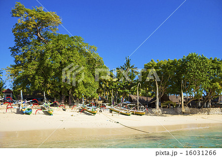 Tropical coastline. Tropical coastline. 16031266