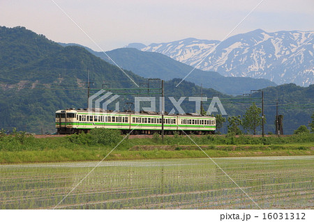 初夏の魚沼田園と上越線115系 16031312