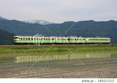 初夏の魚沼田園と上越線115系 16031313