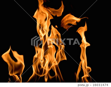 Burning flame on black background 16031474