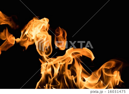 Burning flame on black background Burning flame on black background 16031475