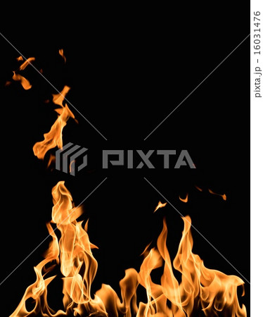 Burning flame on black background Burning flame on black background 16031476