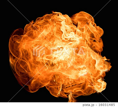 Burning flame on black background 16031485