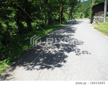 春の小路 16033685