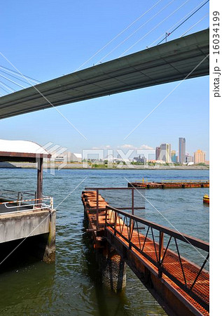 大阪　天保山の風景 16034199