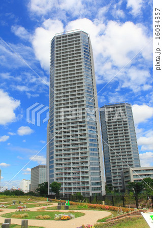 再開発された二子玉川(タワーマンション)の画像 再開発された二子玉川(タワーマンション)の画像 16034357