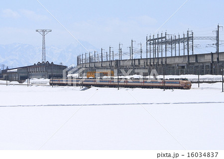 浦佐付近を行く団体臨時列車「特急とき」 16034837