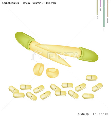 Baby Corn with Vitamin B and Minerals 16036746