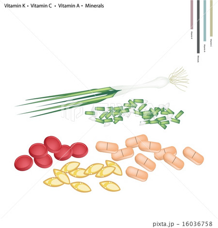 Spring Onion with Vitamin K, C, A and Minerals 16036758