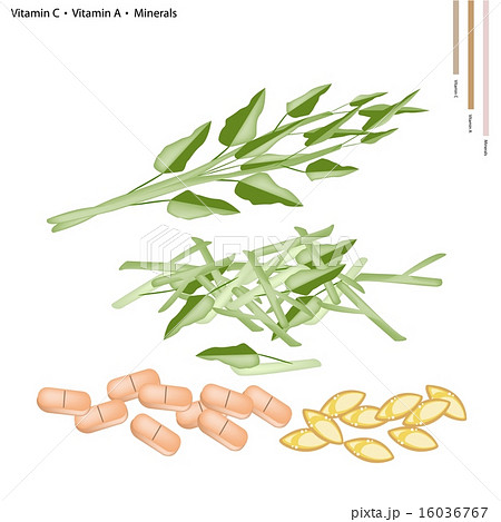 Water Spinach with Vitamin C and A 16036767