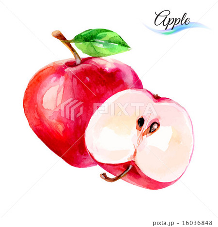 Apple 16036848