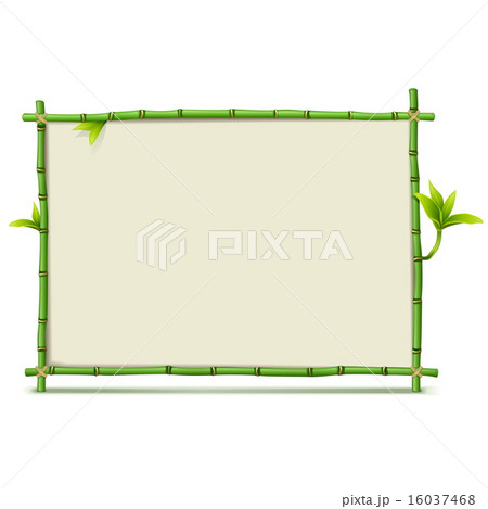 Vector Green Bamboo Frame Vector Green Bamboo Frame 16037468
