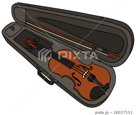 Violin in the case Violin in the case 16037551