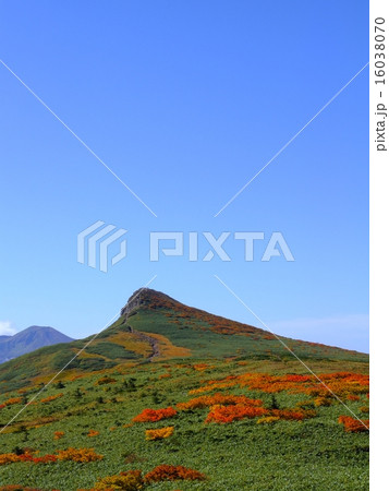 紅葉の烏帽子山 16038070