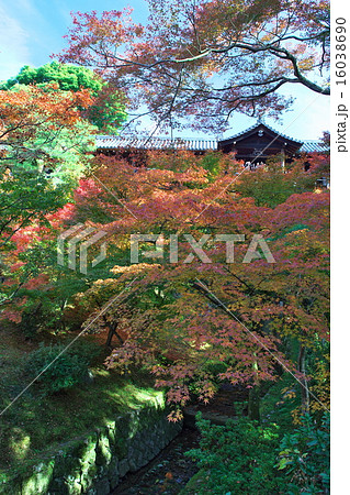 京都の紅葉寺 16038690