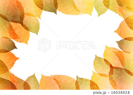 もみじ 紅葉 背景 もみじ 紅葉 背景 16038928