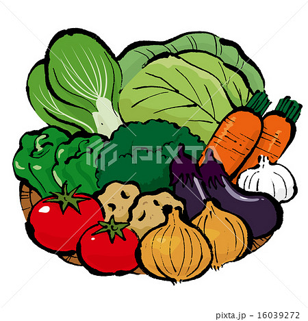 野菜盛り合わせ 16039272