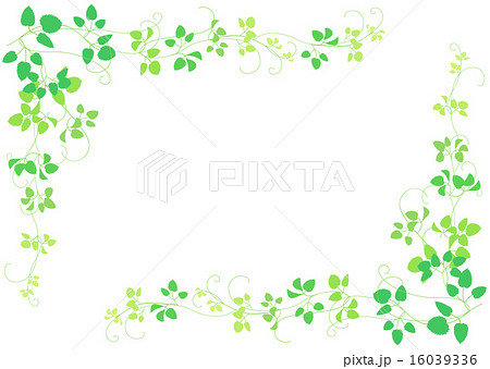 緑 つる植物 フレームのイラスト素材 16039336 Pixta