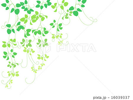 緑 つる植物 フレームのイラスト素材