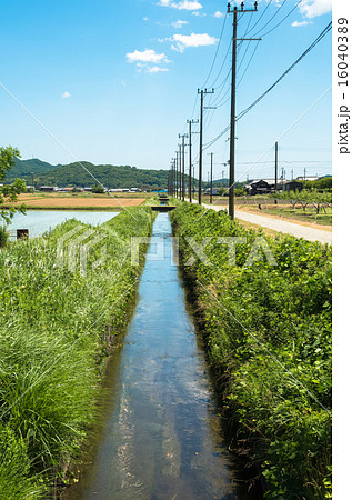 農地の水路 農地の水路 16040389