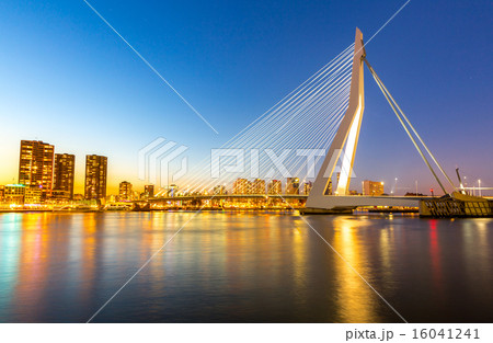 Erasmus bridge Rotterdam Erasmus bridge Rotterdam 16041241