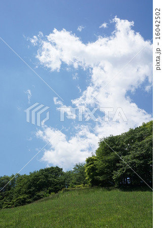 都立長沼公園の春 都立長沼公園の春 16042502