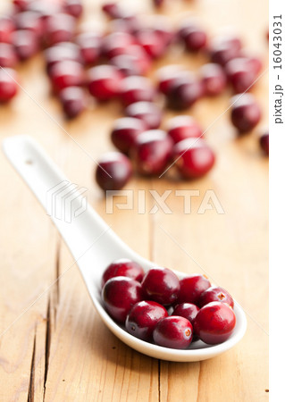 fresh cranberries fresh cranberries 16043031