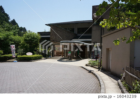 東京　つるつる温泉　 16043239