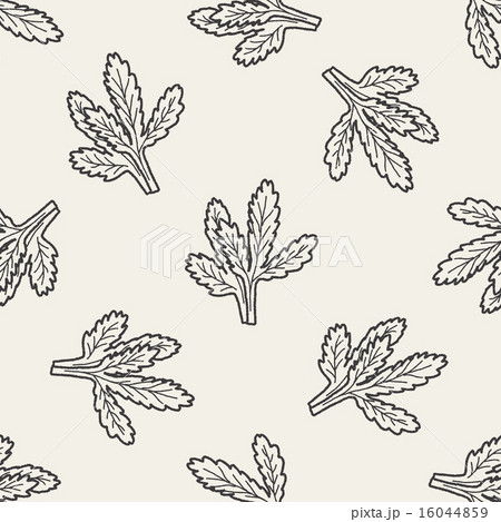 Parsley Doodle Seamless Pattern Backgroundのイラスト素材 16044859 Pixta
