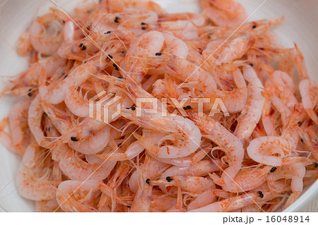 釜揚げのサクラエビ 16048914