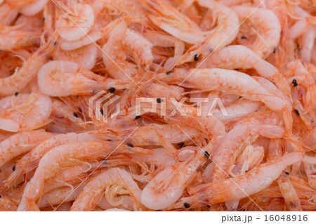 釜揚げのサクラエビ 16048916