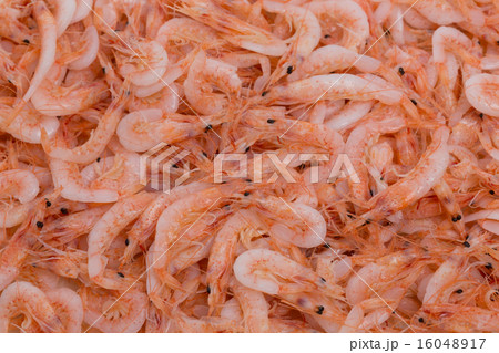 釜揚げのサクラエビ 16048917