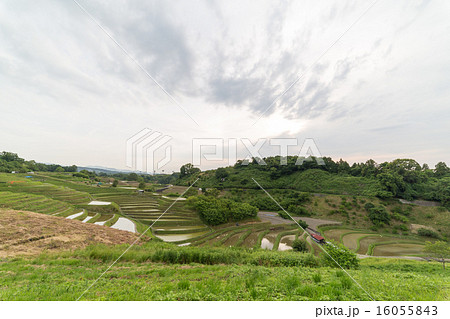 千早赤阪村の棚田 千早赤阪村の棚田 16055843