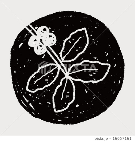 coffee bean fruit doodle 16057161