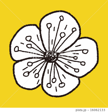 flower doodle flower doodle 16062133