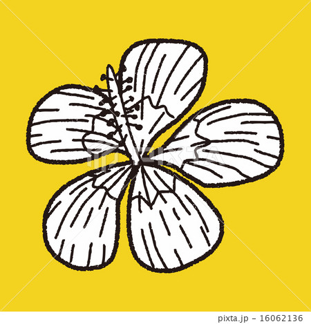 flower doodle 16062136