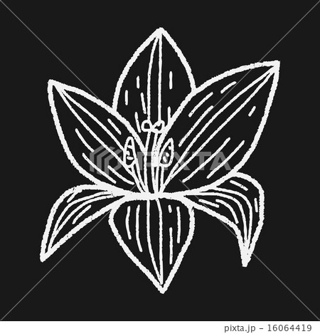flower doodle flower doodle 16064419