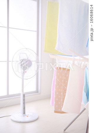 部屋干し 16068614