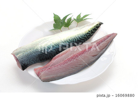 さばの三枚おろし 16069880