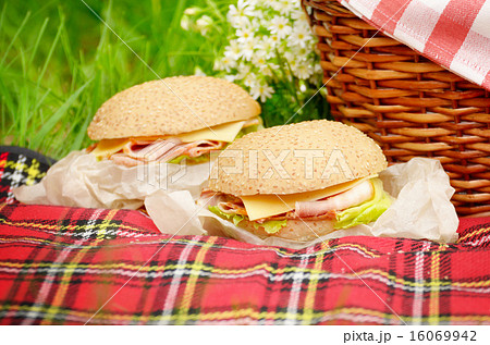 Picnic basket Picnic basket 16069942