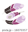 Handdrawn Bright Feather Design Elements. 16070357