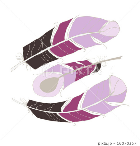 Handdrawn Bright Feather Design Elements. 16070357