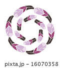 Handdrawn Bright Feather Design Elements. 16070358