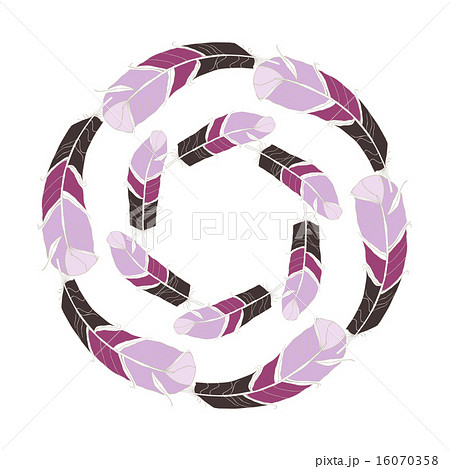 Handdrawn Bright Feather Design Elements. 16070358