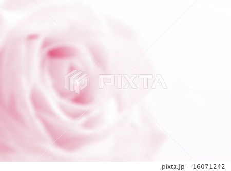 Pink rose close-up  in blur style as background. 16071242