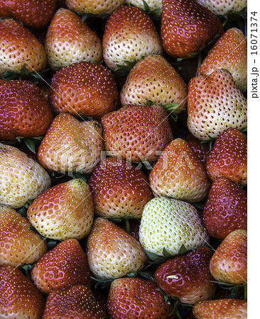 Strawberry Juice 16071374