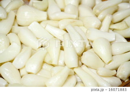 洗いらっきょう 洗いらっきょう 16071883