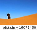 ラクダと砂漠と空 16072460